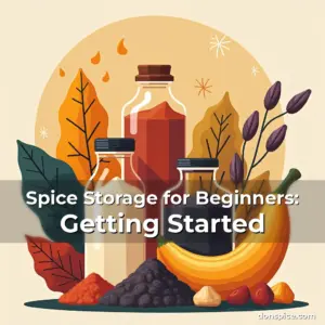 Artistic representation for Spice Storage for Beginners: Getting Started